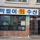 막썰어회수산 이미지