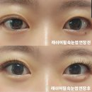 래쉬어필 | 인천 구월동 속눈썹 맛집 래쉬어필 가격 이벤트 유지력 내돈내산 후기