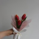 자이라플라워인동점