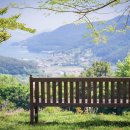 쉼 티스토리