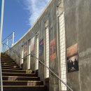 나밍밍 강아지네 | 영종도오션뷰카페 LP를 즐길 수 있는 사운즈오브선셋 메뉴 추천 및 방문후기