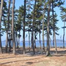 마검포힐링캠핑장 이미지