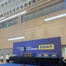 용인대 타이거 태권도&파워점핑 줄넘기 | 세종 고운동 전문도장 용인대 타이거 태권도 전문도장