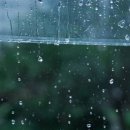 초가을 비 오는 날, 우리 동네 안전은 ‘안전신문고’에서 해결하세요 이미지