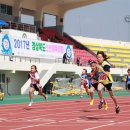 예천공설운동장 이미지