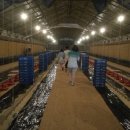 감곡2농장 이미지