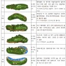 페블비치 골프장 Pebble Beach Golf Links 라운딩 후기(예약 정보 포함)