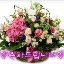 ☆~홍지영 유주연 친구님의 생일을 축하 합니다~☆ 이미지