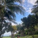 돌섬콘도형 | [나트랑 여행] 나트랑 리조트 “미아리조트” 프라이빗 리조트 찾는다면 무적권 여기. (1탄-리조트편...