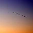 군무 2022-1 이미지