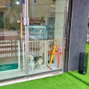 더맛있개 이미지