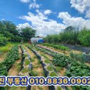 제상 농장 이미지