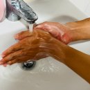 수제천국 이미지