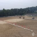 대전승마장 이미지