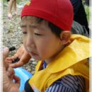 버섯구지마을 이미지