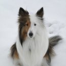 또와PC방 이미지