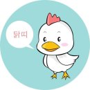 2031년 돼지띠해 월별운세 이미지