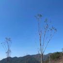 하동하늘숲캠핑장 이미지