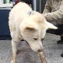 배산동물병원 이미지