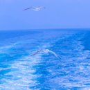 청산도올레펜션 이미지