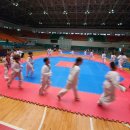 우진태권도 이미지