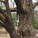 진주 허추 부부 묘 석물 | 어쩌다 서울둘레길을 걷다 8-3코스(북한산 둘레길 20,19,18구간)