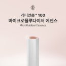 인셀덤신세계