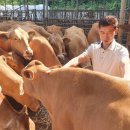 만금농장 이미지