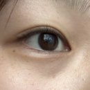디자인치과기공소 | 중랑구 신내동 상봉 속눈썹펌 그린건나야 대만족 솔직 후기