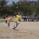 매지초등학교 이미지