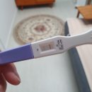 루미나산부인과의원 | 임밍아웃! 열매야 반가워 :)