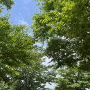 미쁨요가 | 수원 광교 산전/산후 요가 소규모 임산부 운동 "미쁨요가" 솔직후기