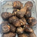 양지로6C 이미지