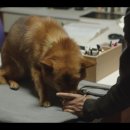 봉 동물병원 이미지