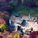 백양사 ~ 내장산 25.11.09 이미지