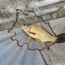 묵리낚시터 이미지