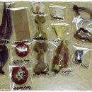 아지의스낵 이미지