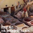 모로코 페즈 여행 코스 가죽 염색공장 메디나 워킹 투어 후기