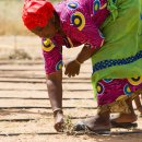 IMAGE WALL 이미지