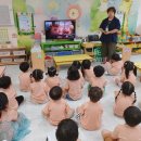 호계비둘기유치원 이미지