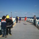 허수아비 이미지