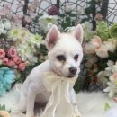 오늘, 더 예쁘게 이미지