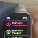 수출대로-20 이미지