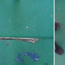 마포-현장-마포-1566 이미지