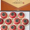 청송전자 이미지