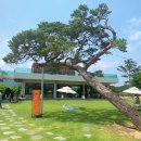 카페 미드슬로프 이미지