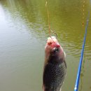 일신낚시터 이미지