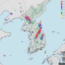 [속보] 강원 양양 설악해변 낙뢰 사고 1명 심정지·5명 부상 이미지