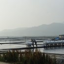 증도면보건지소 이미지