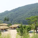 삼강식물원